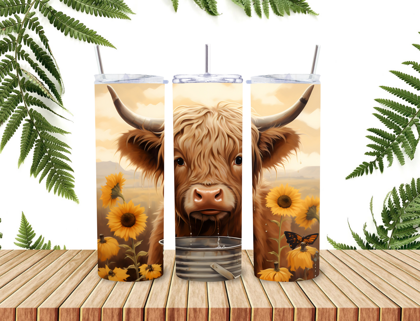 Highland cow